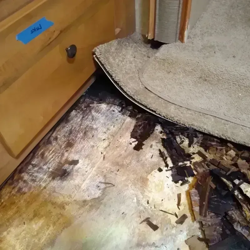 Wood Floor Water Damage in Covina, CA